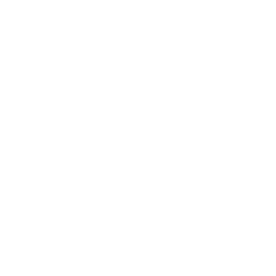 Logo Van Parys Fotografie
